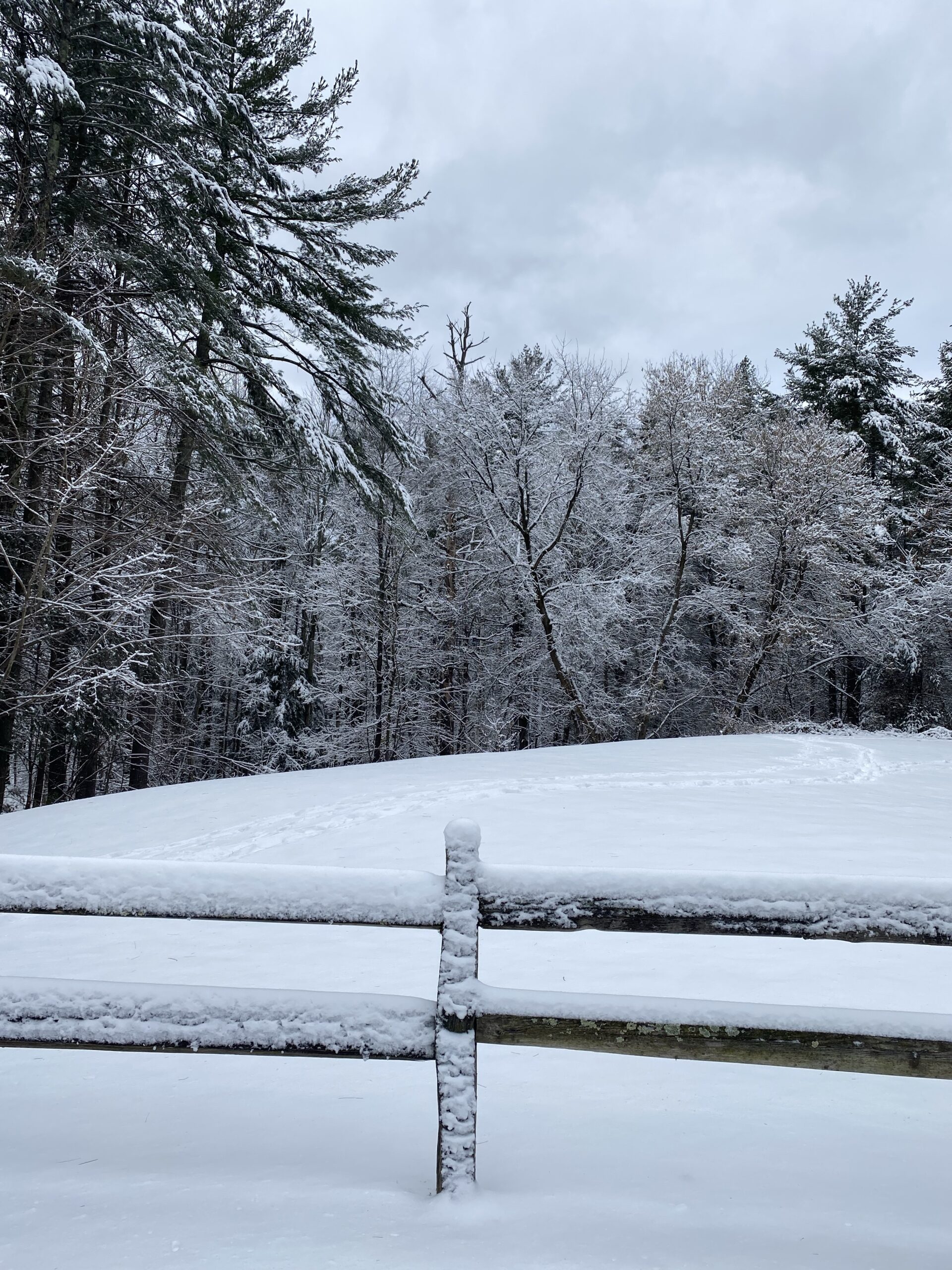 Walking in a Winter Wonderland! ❄️